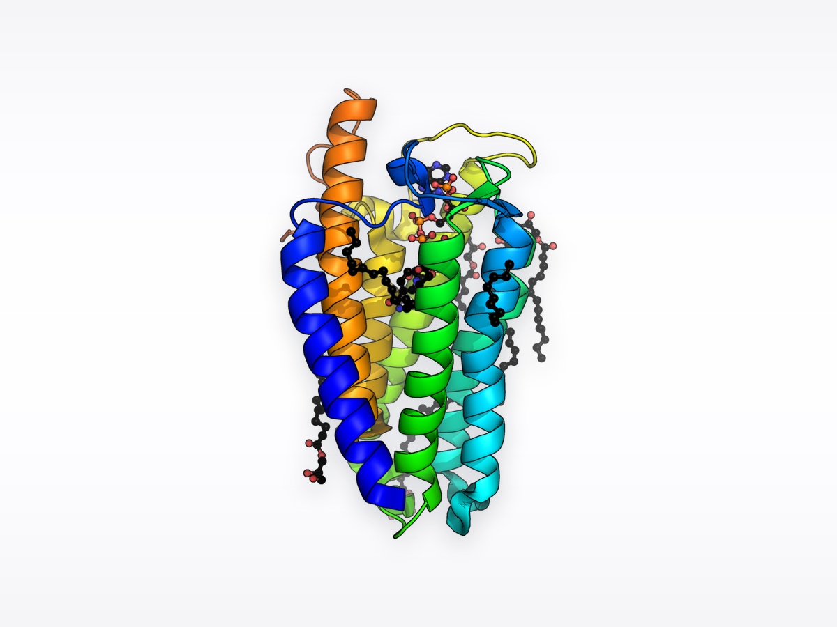 Inhibidores duales de la 5-AR