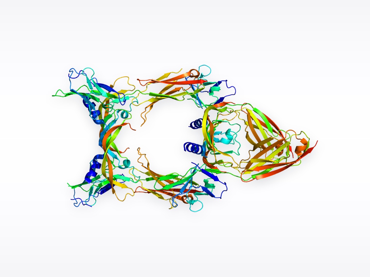 VEGF (Factor Endotelial)