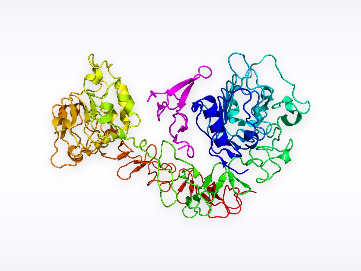 EGF (Factor Epidérmico)